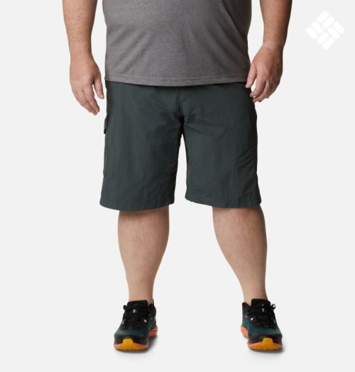 Men's Columbia Silver Ridge Cargo Shorts Black | Plus Size CA-K3150